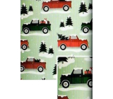 Nekupto Christmas gift wrapping paper 70 x 500 cm Green, cars and trees