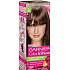 Garnier Color & Shine hair color 6.0 very light maroon