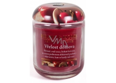 Heart & Home The warmth of home Soy scented candle medium burns up to 30 hours 110 g