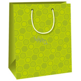 Ditipo Gift paper bag 18 x 10 x 22.7 cm light green