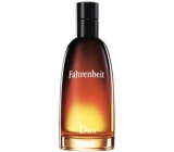 Christian Dior Fahrenheit Eau de Toilette for Men 200 ml