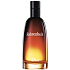 Christian Dior Fahrenheit Eau de Toilette for Men 200 ml