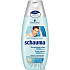 Schauma for Men anti-dandruff hair shampoo 250 ml
