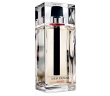 christian dior homme sport 100ml