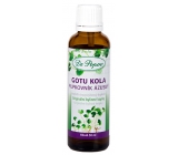 Dr. Popov Gotu Kola (Brahmi), an original herbal drops to support memory and concentration food supplement 50 ml