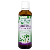 Dr. Popov Gotu Kola (Brahmi), an original herbal drops to support memory and concentration food supplement 50 ml