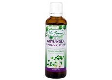 Dr. Popov Gotu Kola (Brahmi), an original herbal drops to support memory and concentration food supplement 50 ml