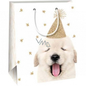 Ditipo Gift paper bag 18 x 22,7 x 10 cm Dog