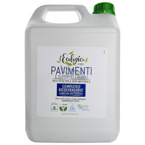 Icefor L´ecologico Pavimenti ecological cleaner for floors and hard surfaces 5 l
