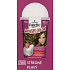 Schwarzkopf Palette Mousse Color Shake and color hair color 700 Medium blond