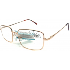 Berkeley Reading glasses +2.0 gold metal MC2 1 piece ER5050