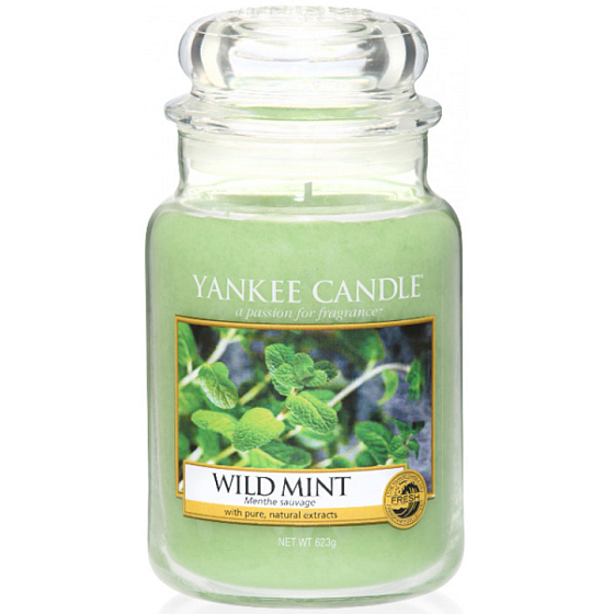 Yankee Candle Wild Mint - Wild Mint Scented Candle Classic Large Glass 623 g