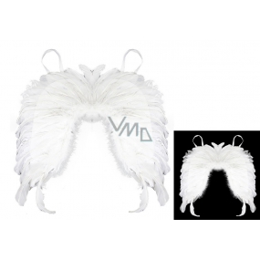 Angel wings with feathers
