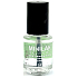 Regina Minilak Nail Lacquer No. 43 Transparent 5 ml