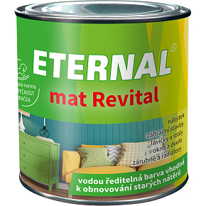 Eternal mat Revital paint for renewing old coatings, 213 black, 100 g