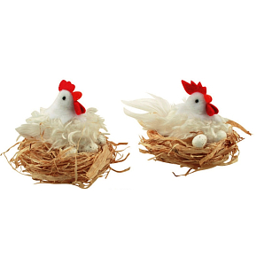 White shaggy hen in a 12 cm nest