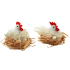 White shaggy hen in a 12 cm nest