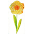 Flower large yellow intertwined 49 cm