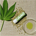 Labello Naturally Vegan Hemp Oil Lip Balm 4,8 g