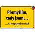 Nekupto Humorous Sign I am thinking, I am 15x10 cm 1 piece