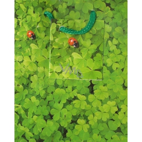 Nekupto Gift paper bag 14 x 11 x 6.5 cm Four-leaf clover 417 50 BS