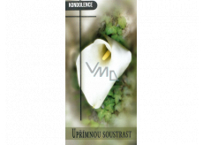 Nekupto Wishes Condolences Sincere condolences 100 x 200 mm 3496 F