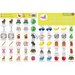 Ditipo Language memory Colors and features English 297 x 222 mm