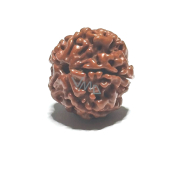 Rudraksha natural bead 18 mm 1 piece