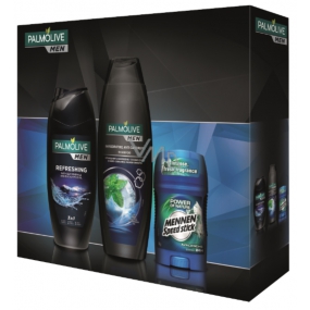 Palmolive Men Refreshing 2 in 1 shower gel 250 ml + Invigorating hair shampoo 350 ml + Mennen stick, cosmetic set