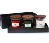 WoodWick Crimson Berries - Red Rowan + Frasier Fir - Fir + White Teak - White teak Christmas candle set with wooden wick and glass lid small 3 x 85 g