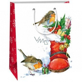 Ditipo Gift paper bag 18 x 10 x 22.7 cm white shoe with gifts birds C
