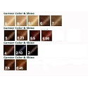 Garnier Color & Shine hair color 3.6 dark red