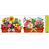 Window foil without glue strip box flowers two boxes 60 x 22.5 cm
