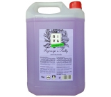 Riva Rosemary and Violets antibacterial mild liquid soap 5 kg