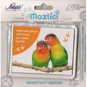 Nekupto Pets magnetic image Parrots