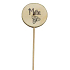 Bohemia Gifts Wooden Herb Marker with Print - Mint, circle diameter is 5 - 8 cm
