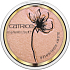 Catrice Glow Patrol Glowy Highlighter Brightener C02 Aphrodite 8.5 g