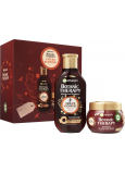 Garnier Botanic Therapy Ginger Recovery shampoo for dull and fine hair 250 ml + revitalizing mask 300 ml, cosmetic set