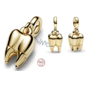 Charm Sterling Silver 925 Gold Tooth - Mini Medallion, Pendant Bracelet Interests