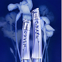 Kenzo Flower by Kenzo Ikebana Indigo Eau de Parfum for Women 75 ml