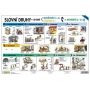 Ditipo Word types - Listed words table A4