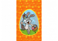 Nekupto Easter Bunny Bag with Basket 180 x 360 mm 004 01 NVE