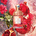 Guerlain Aqua Allegoria Granada Salvia Eau de Toilette for Women 30 ml