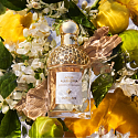 Guerlain Aqua Allegoria Bergamote Calabria shower gel unisex 200 ml