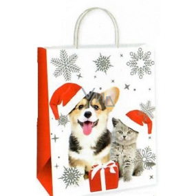 Ditipo Gift paper bag 22 x 10 x 29 cm Christmas dog and cat
