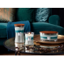 WoodWick Trilogy Icy Woodland - Ice Forest scented candle with wooden wick and lid glass boat 453 g