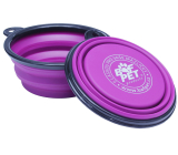 B&F Foldable silicone travel bowl Fuchsia 380 ml