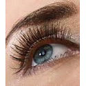 Miss Sports Lash Millionaire Chic mascara for volume black 8 ml