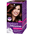 Schwarzkopf Perfect Mousse Permanent Foam Color Hair Color 388 Dark red-brown