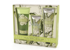 Somerset Toiletry Lily of the valley luxury body cream 130 ml + shower gel 200 ml + luxury hand cream 60 ml, cosmetic set
